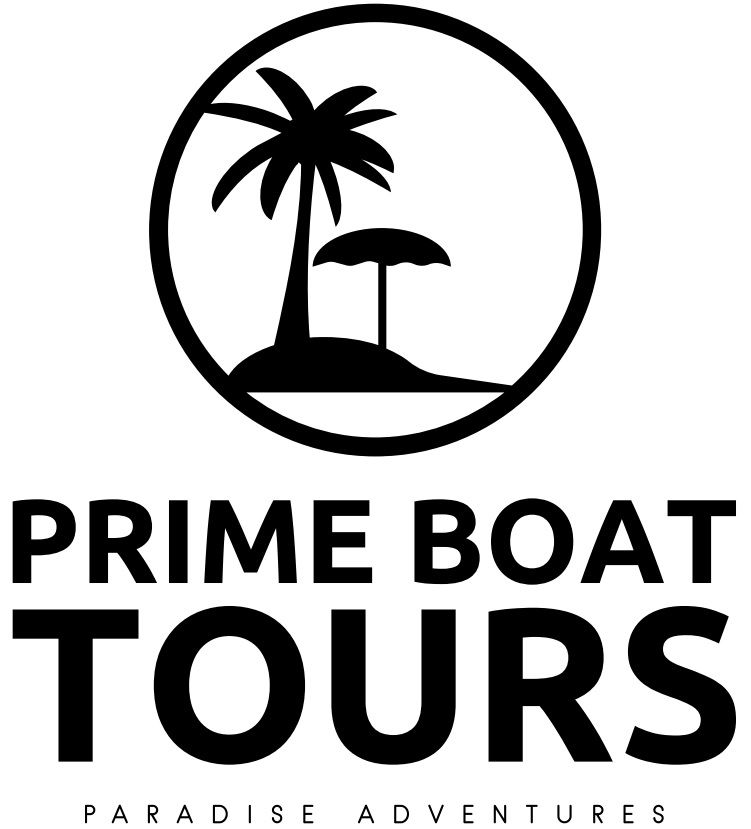 prime boat tours anna maria island